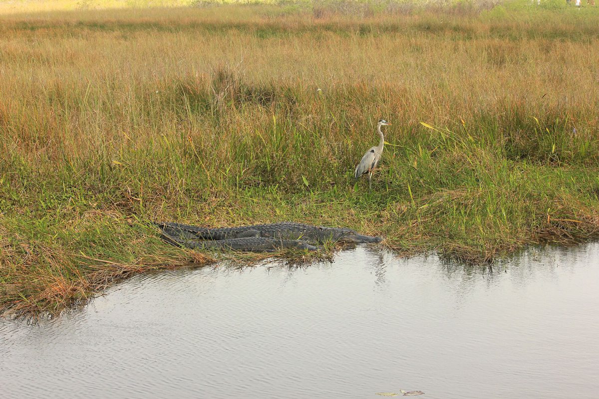 Florida