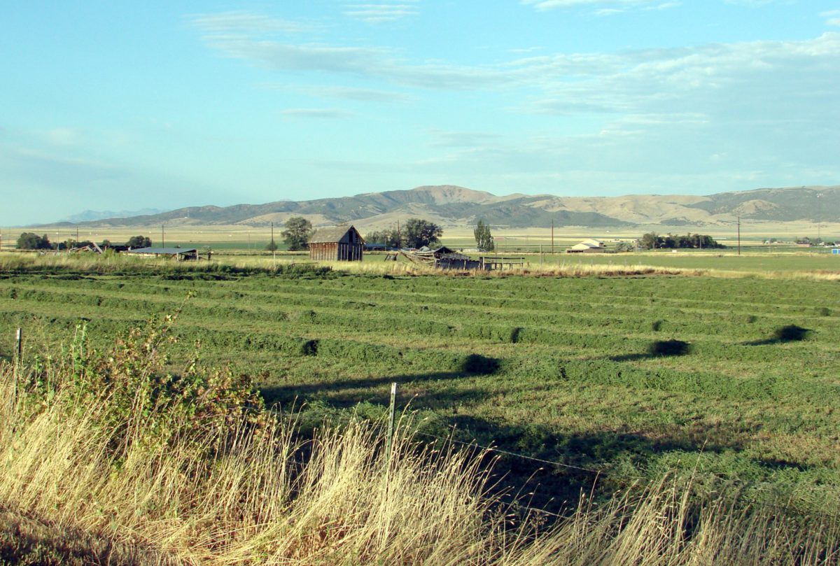 Iowa