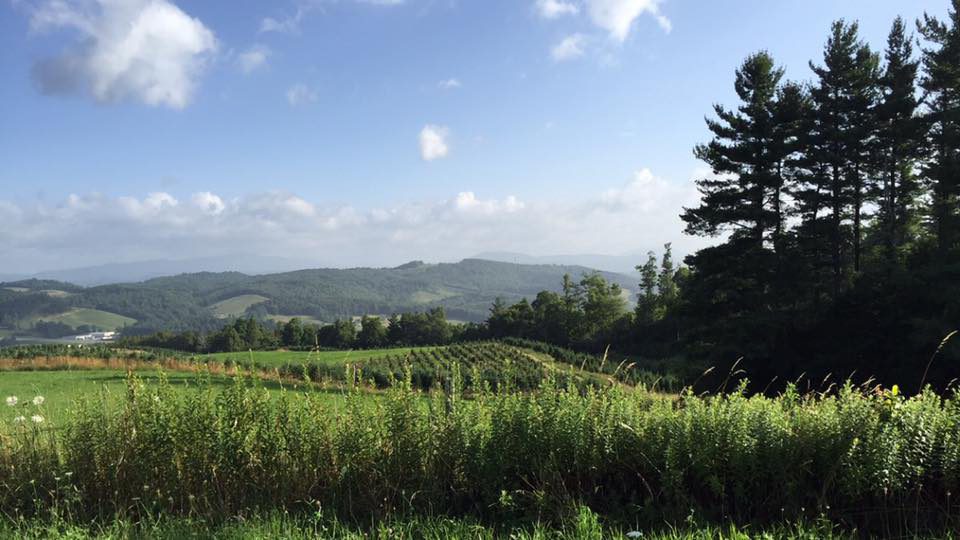 North Carolina