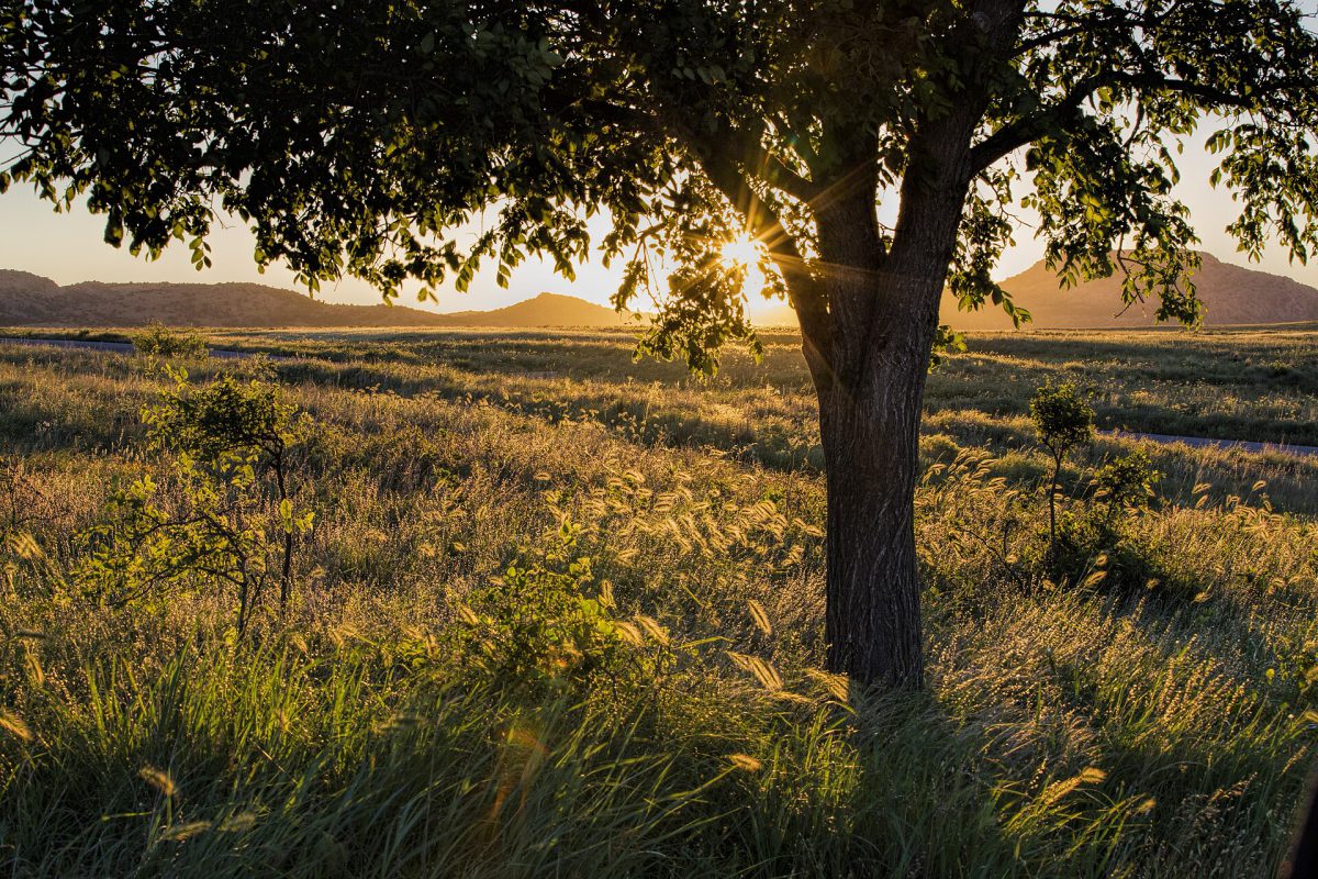 Oklahoma