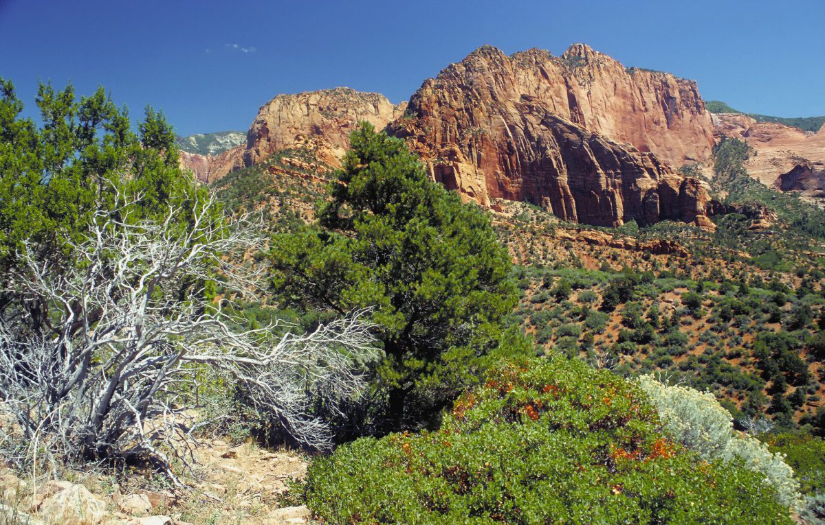 Utah