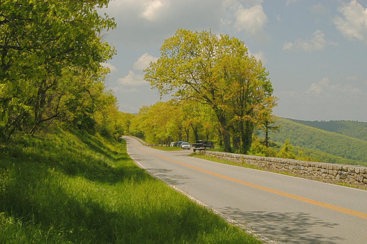 Virginia