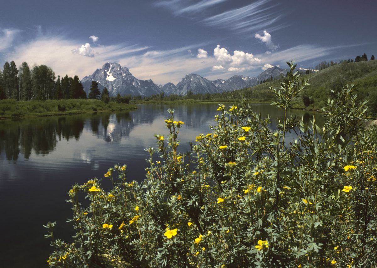 Wyoming
